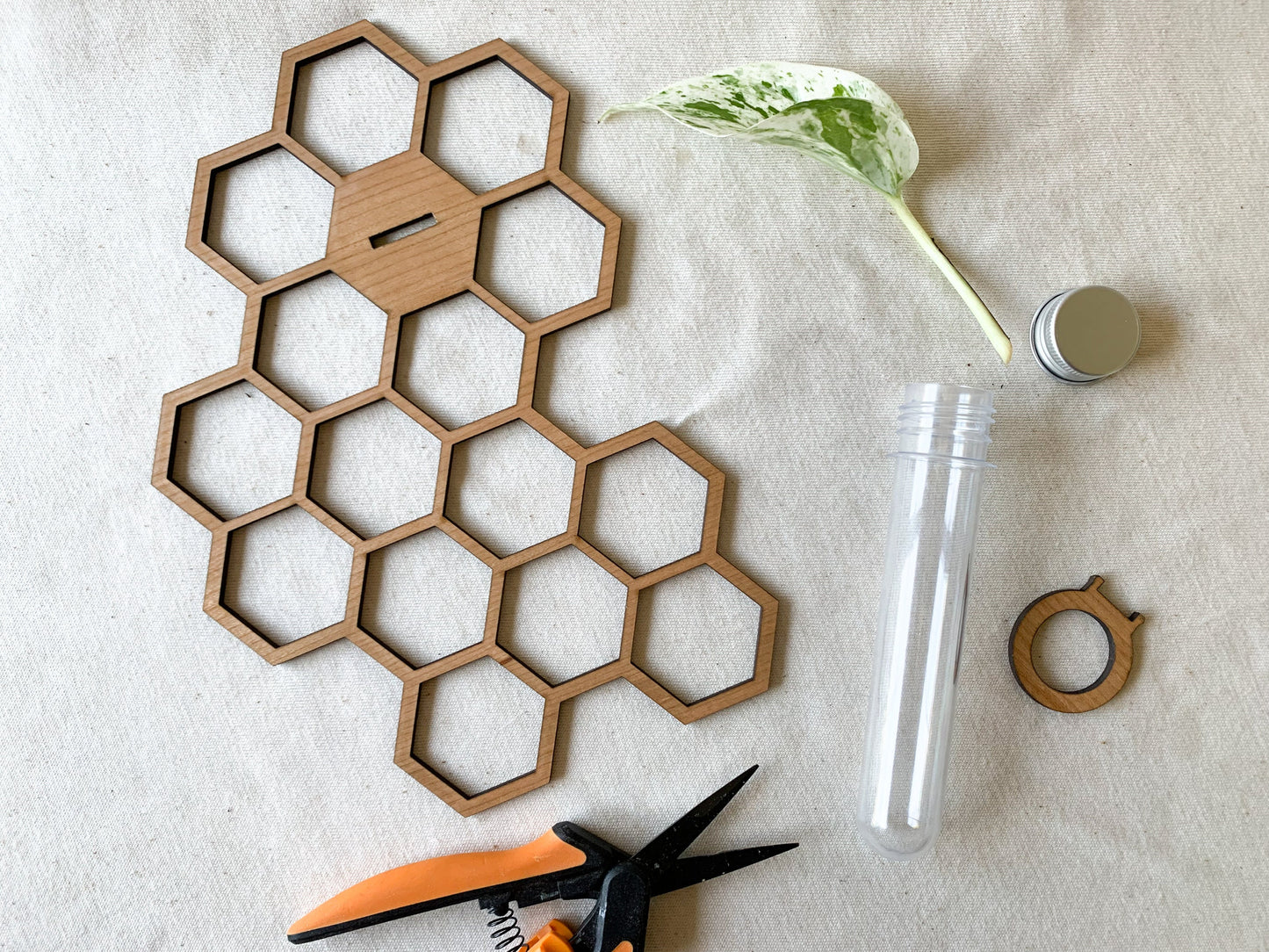 Honeycomb Wall Propagation Station